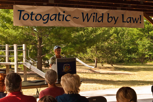totogaticweb.jpg
