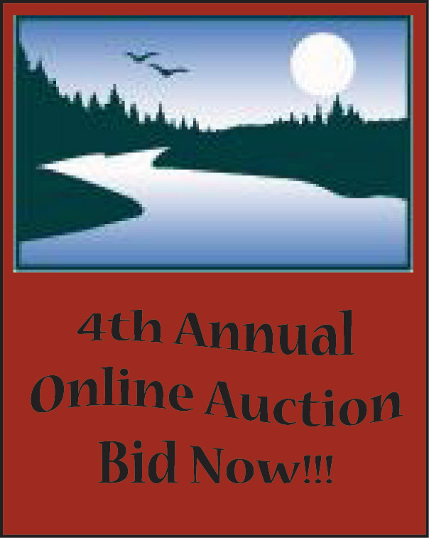 Bid-Now2010web.jpg